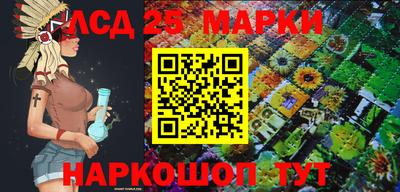 индика Усть-Джегута