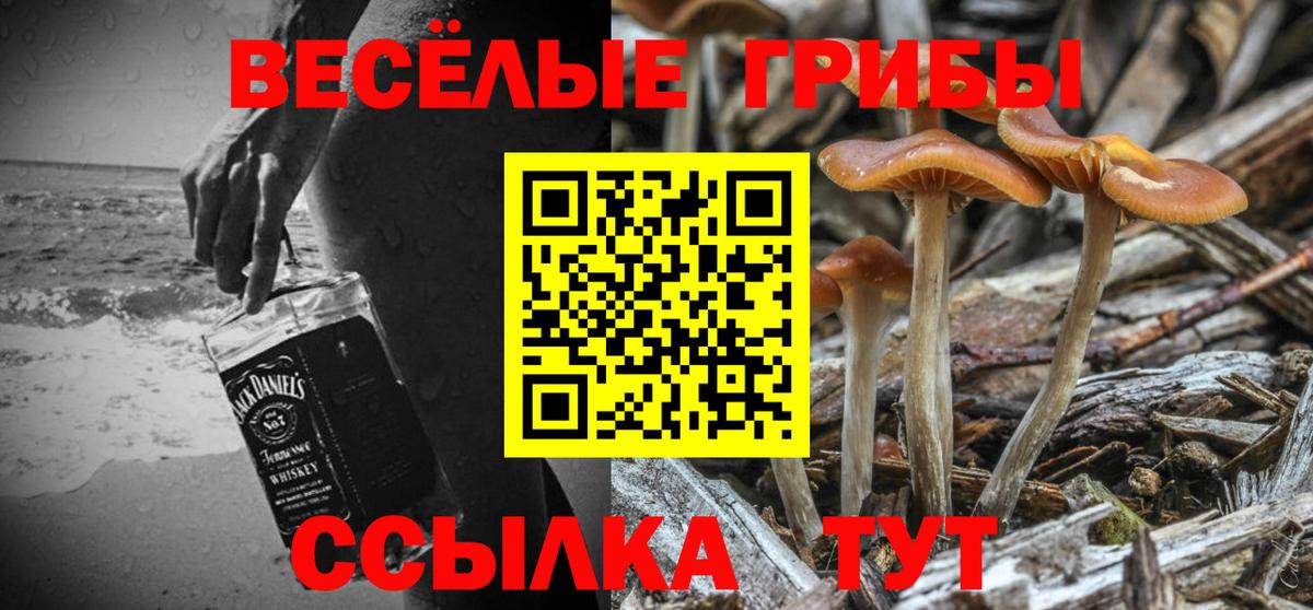 Псилоцибиновые грибы ЛСД Белорецк